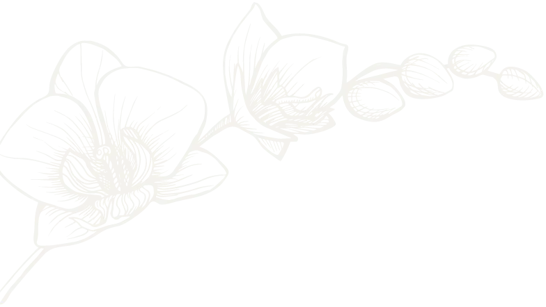 Dekorative Lotusblume – Symbol für Entspannung und Wellness